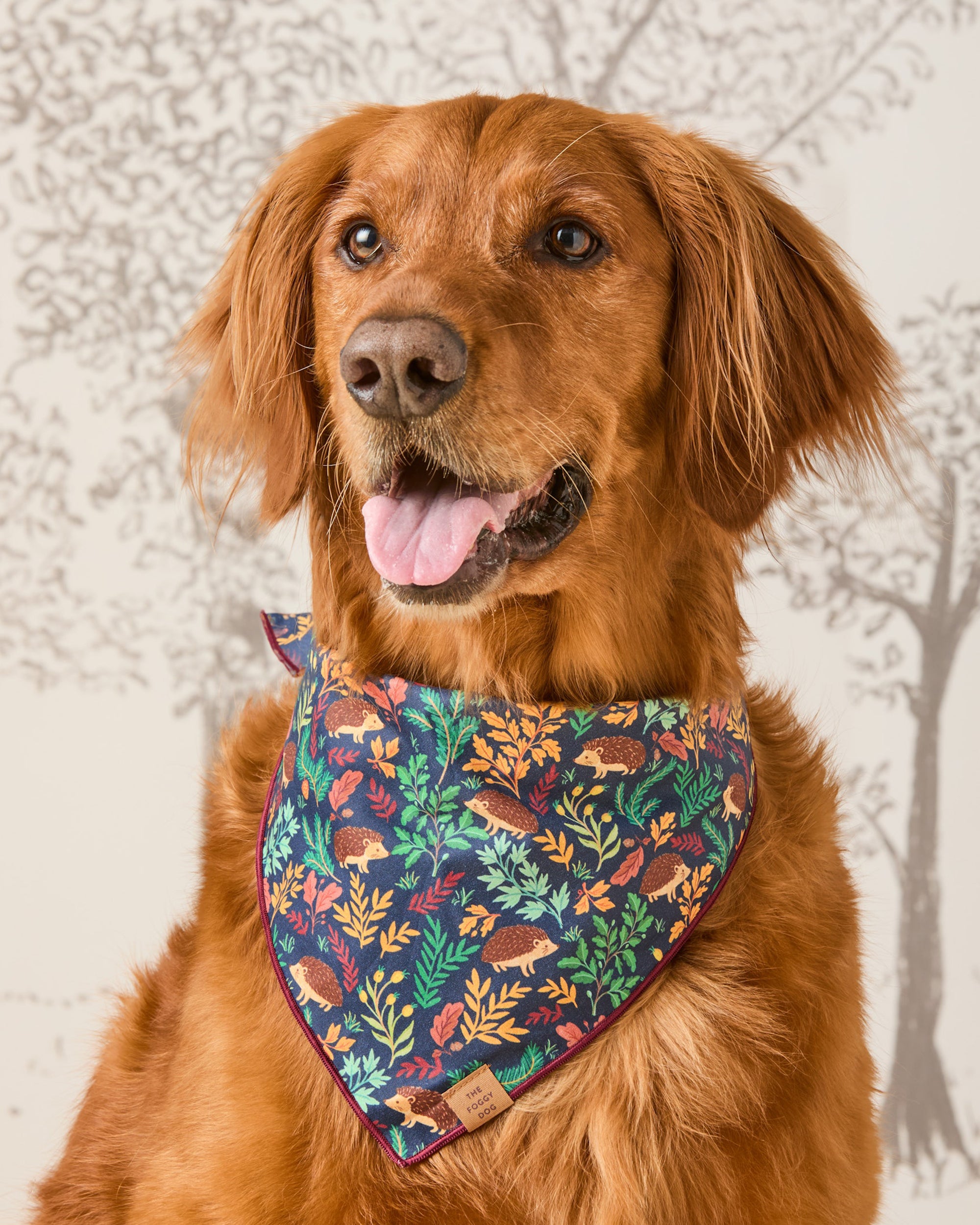 Cassidy Demkov x The Foggy Dog