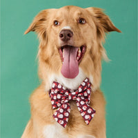 #Modeled by Kina (60lbs) in a Large collar and Large lady bow