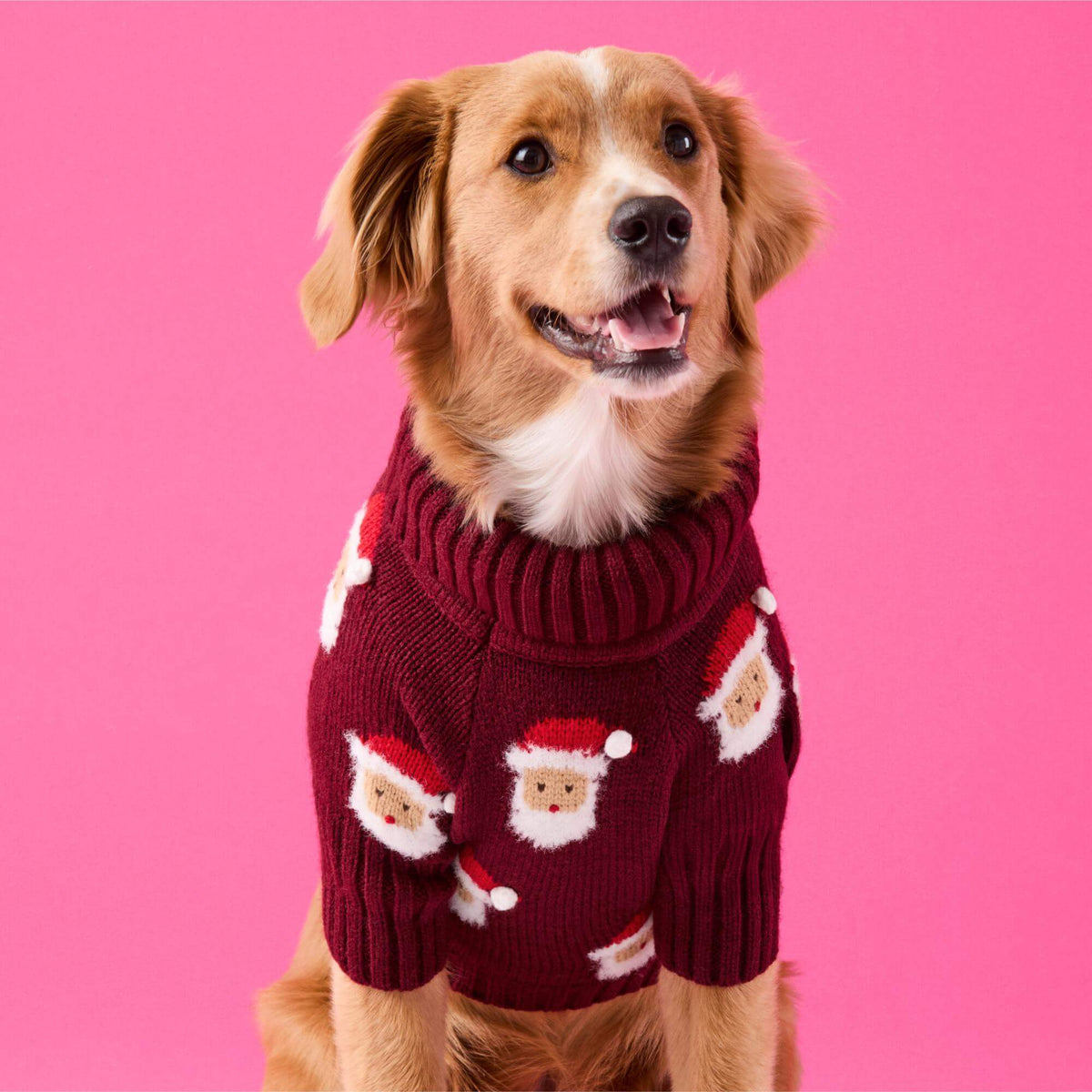 #Modeled by Noe (27lbs) in Medium