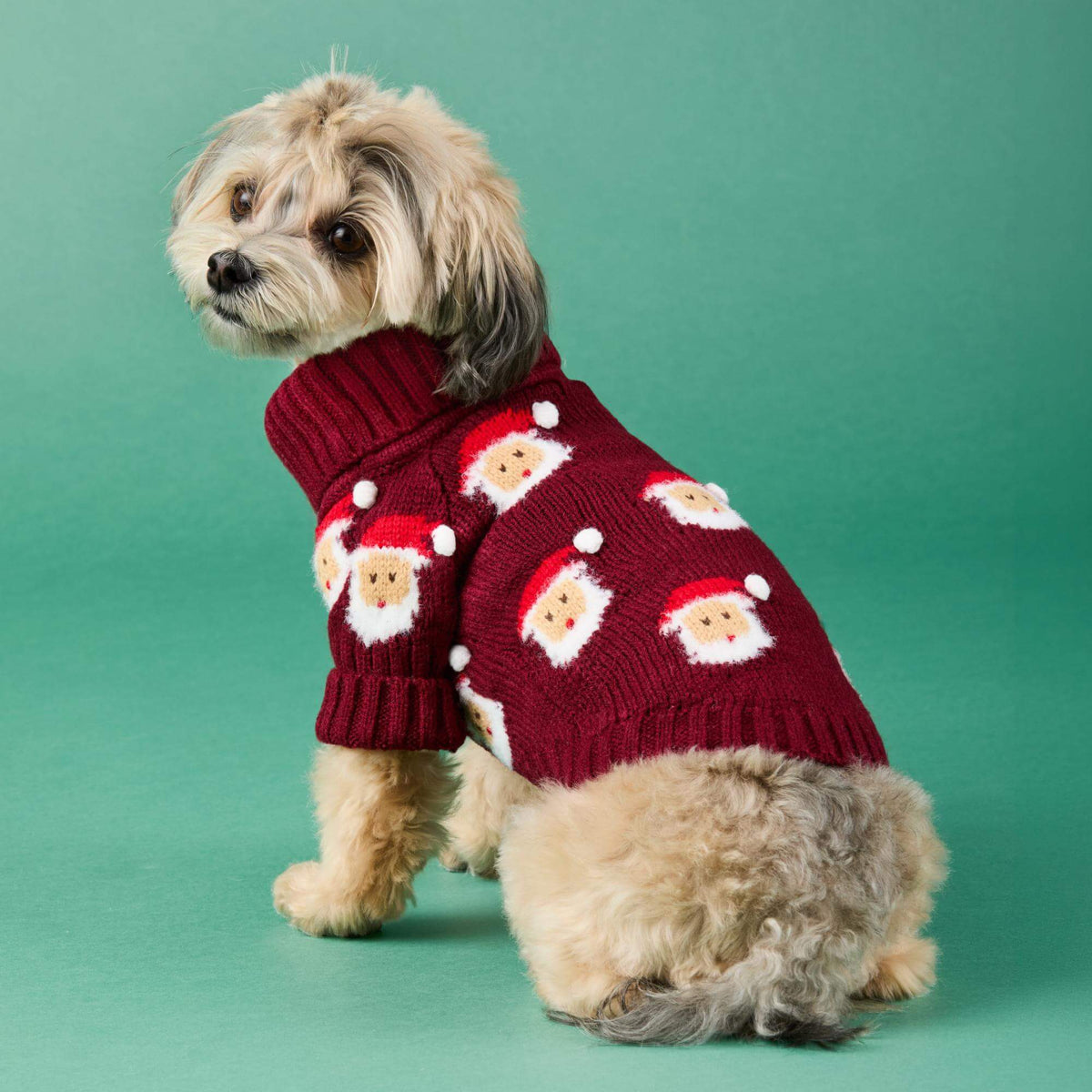 #Modeled by Ellie (9lbs) in X-Small