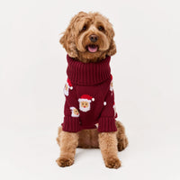 #Modeled by Poppy (20lbs) in Medium