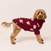 #Modeled by Poppy (20lbs) in Medium
