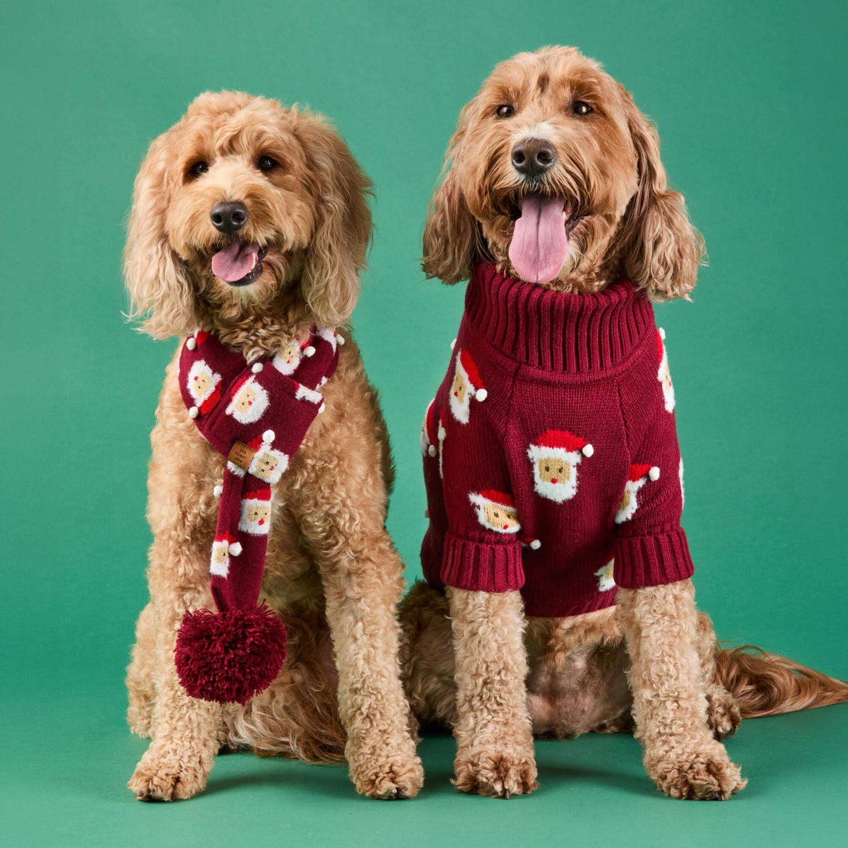 #Modeled by Brynn (25lbs) in Medium