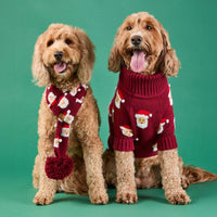 #Modeled by Brynn (25lbs) in Medium
