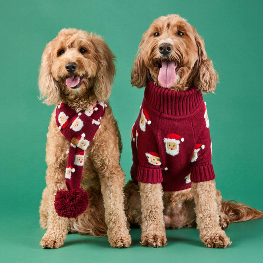 Ho Ho Ho! Knit Dog Scarf view 2