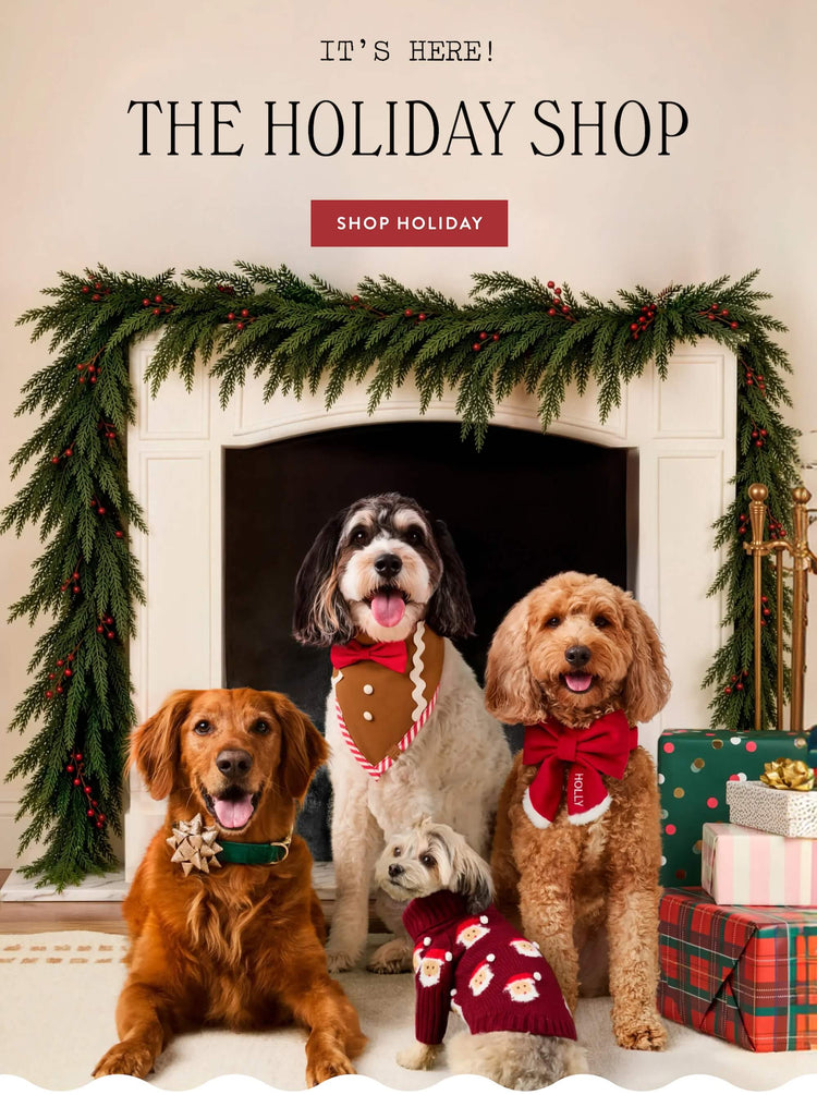 Happy Howlidays. The Holiday Shop is
officially open. Shop Holiday at The Foggy Dog