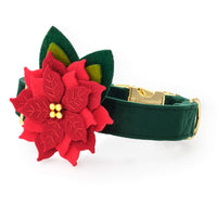 Poinsettia Dog Collar Flower Set from The Foggy Dog