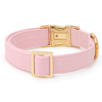 Blush Pink Dog Collar from The Foggy Dog