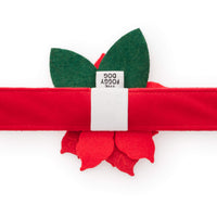 Poinsettia Dog Collar Flower Set from The Foggy Dog