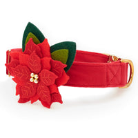 Poinsettia Dog Collar Flower Set from The Foggy Dog