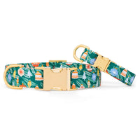 Festive Ornaments Dog Collar from The Foggy Dog