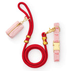 Blush Pink Candy Canes Embroidered Collar Walk Set