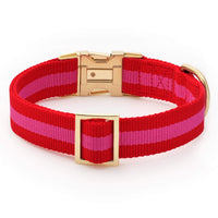 Charlotte Striped Webbing Dog Collar from The Foggy Dog