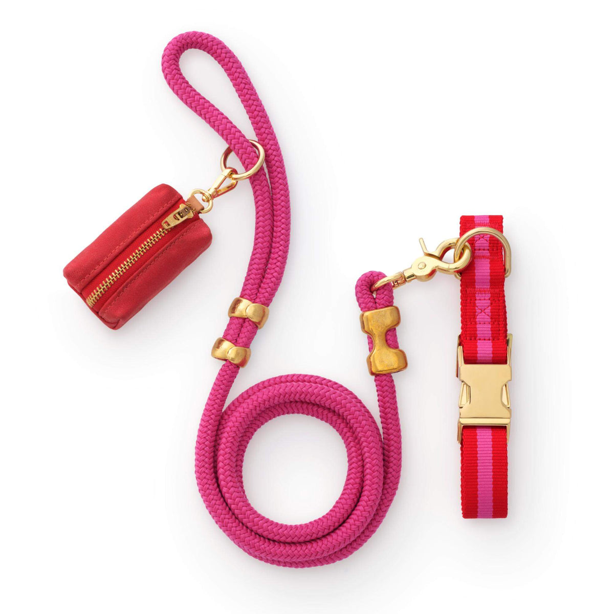 Charlotte Striped Webbing Collar Walk Set from The Foggy Dog