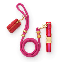 Charlotte Striped Webbing Collar Walk Set from The Foggy Dog