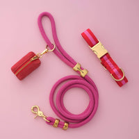 Charlotte Striped Webbing Collar Walk Set from The Foggy Dog