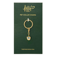 Dreidel Collar Charm view 5