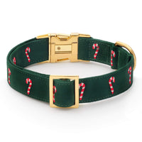 Evergreen Candy Canes Embroidered Dog Collar from The Foggy Dog
