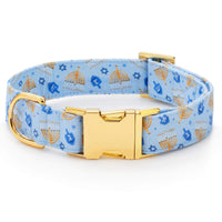 Festival of Lights Dog Collar from The Foggy Dog