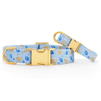 Festival of Lights Dog Collar from The Foggy Dog