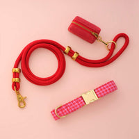 Pink and Red Houndstooth Collar Walk Set from The Foggy Dog