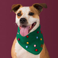#Modeled by Sadie (27lbs) in Medium