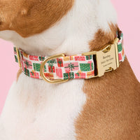 #Modeled by Ricky (30lbs) in Medium