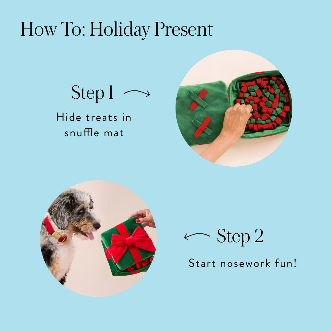 Holiday Present Interactive Snuffle Dog Toy from The Foggy Dog