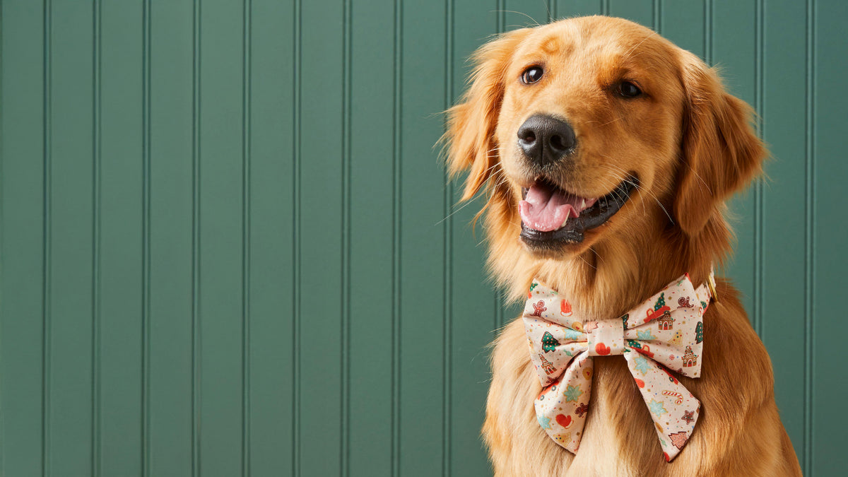 Rifle Paper Co. x The Foggy Dog Holiday Collection