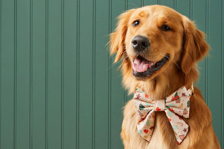 Rifle Paper Co. x The Foggy Dog Holiday Collection