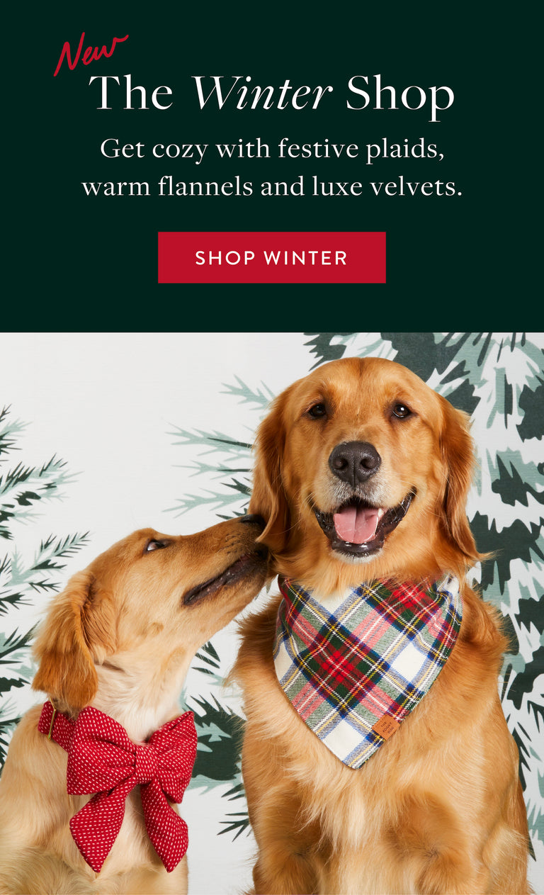 Evergreen Enterprises, Holiday, Nfl Ny Jets Dog Ornament Golden