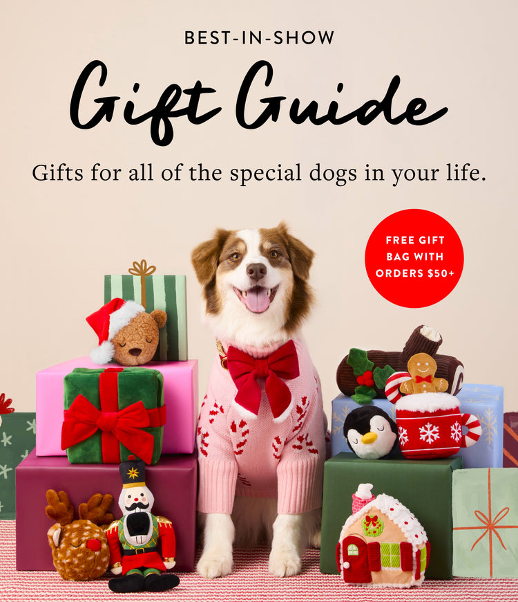 Holiday Gift Guide at The Foggy Dog