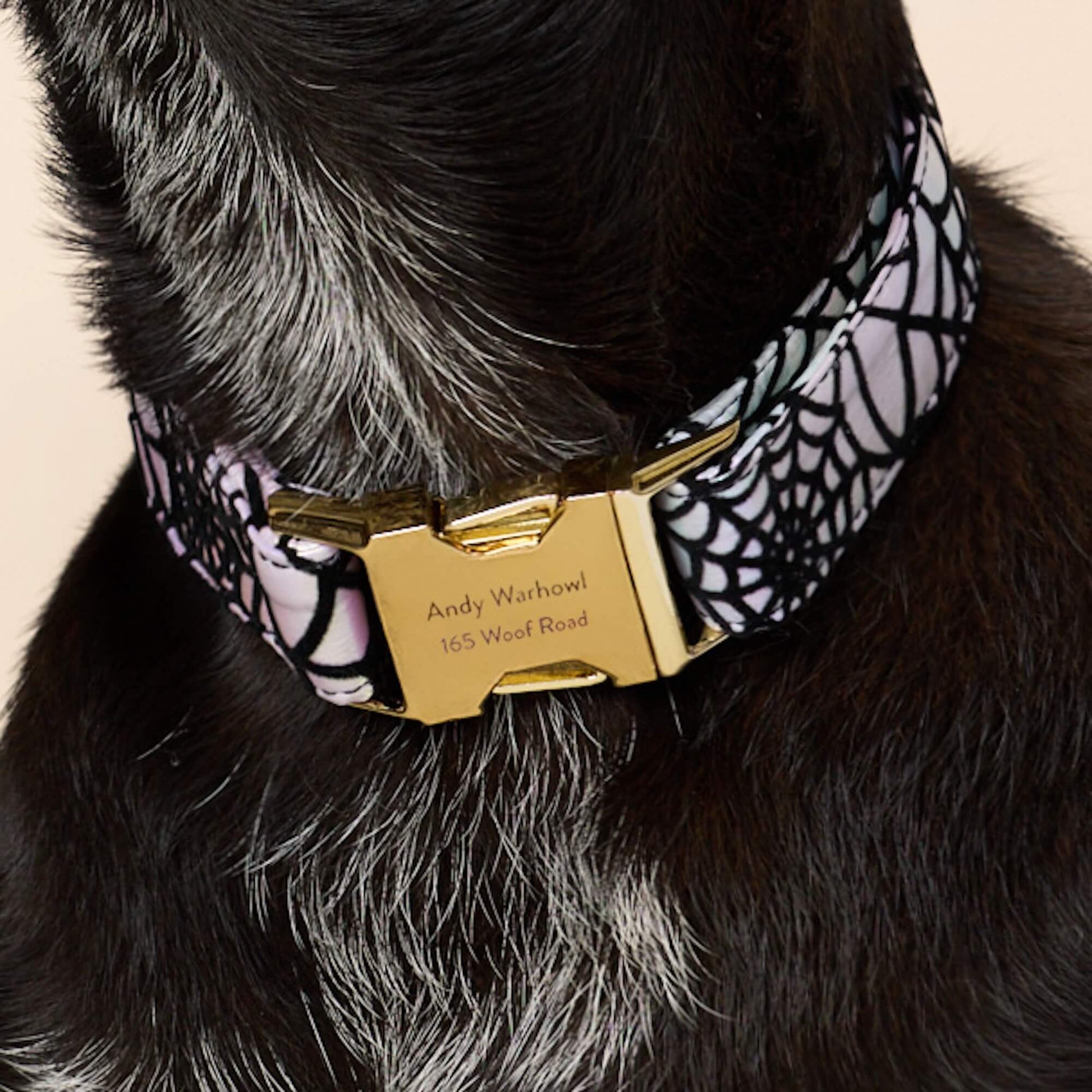 #Modeled by Scooby (25lbs) in Medium