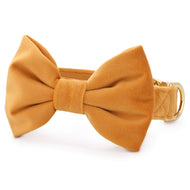 Honey Velvet Bow Tie Collar from The Foggy Dog