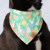 #Modeled by Lila (30lbs) in Medium