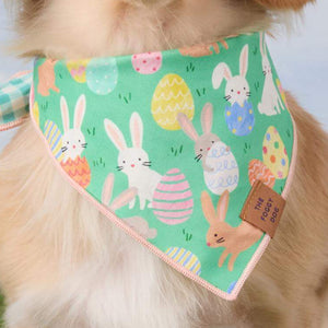 Hoppy Easter Reversible Dog Bandana from The Foggy Dog