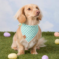 #Modeled by Finley (11lbs) in Small