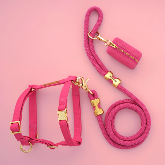 Hot Pink Harness Walk Set