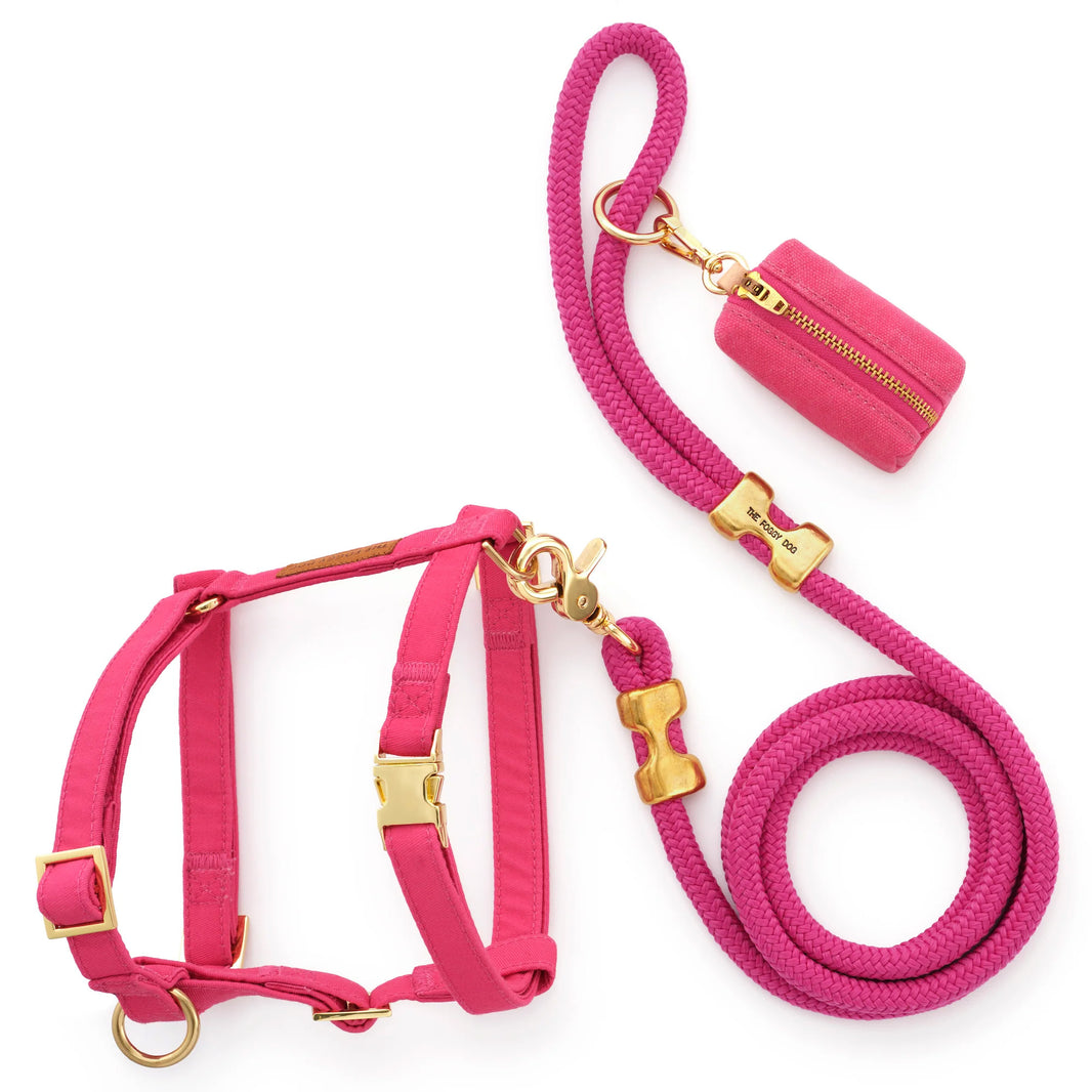 Hot Pink Marine Rope Dog Leash – The Foggy Dog