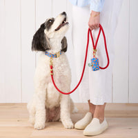 #Modeled by Reese (45lbs) in a Medium collar and Standard leash