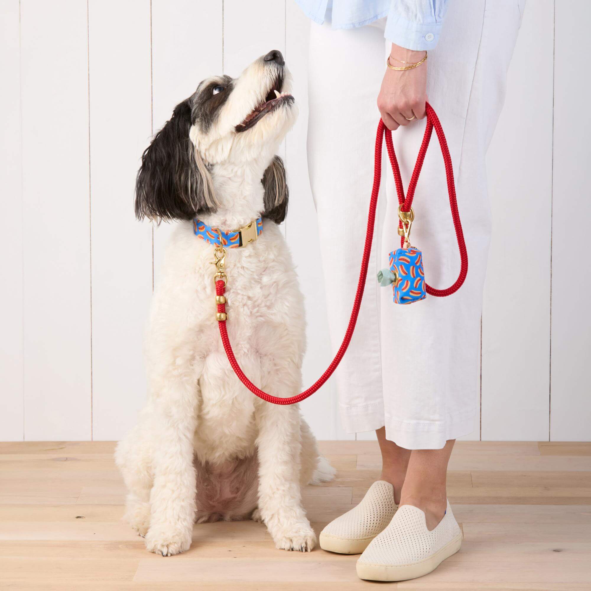 Ruby Marine Rope Dog Leash – The Foggy Dog