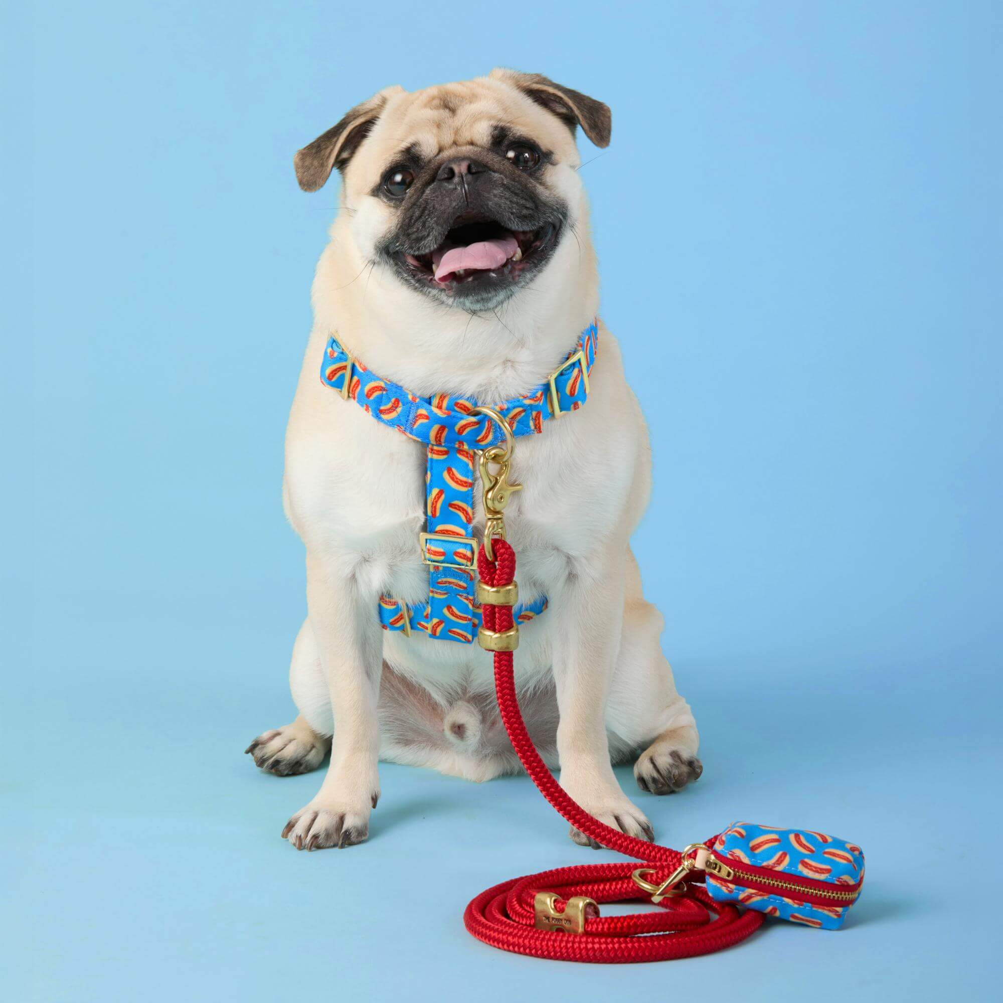 Ruby Marine Rope Dog Leash – The Foggy Dog