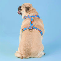 #Modeled by Greg (23lbs) in Medium