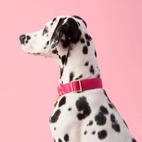 #Modeled by Lava (25lbs) in Medium