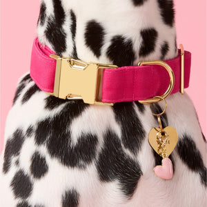 #Modeled by Lava (25lbs) in Medium