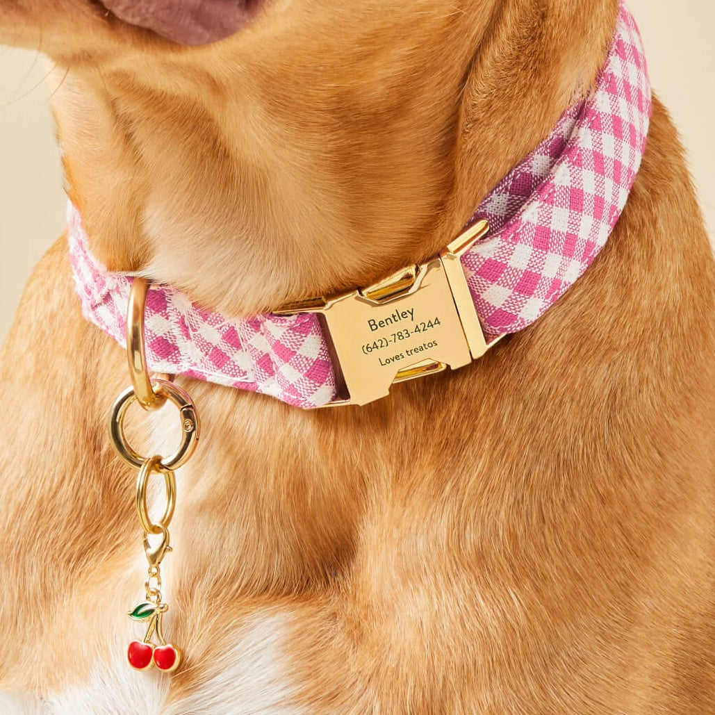 Hot Pink Gingham Collar with Engraving The Foggy Dog