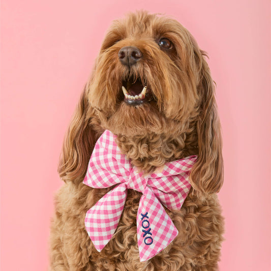 #Modeled by Ruby (23lbs) in a Medium collar and Large lady bow