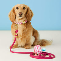 Hot Pink Gingham Waste Bag Holder from The Foggy Dog