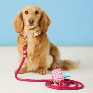 Hot Pink Gingham Waste Bag Holder from The Foggy Dog