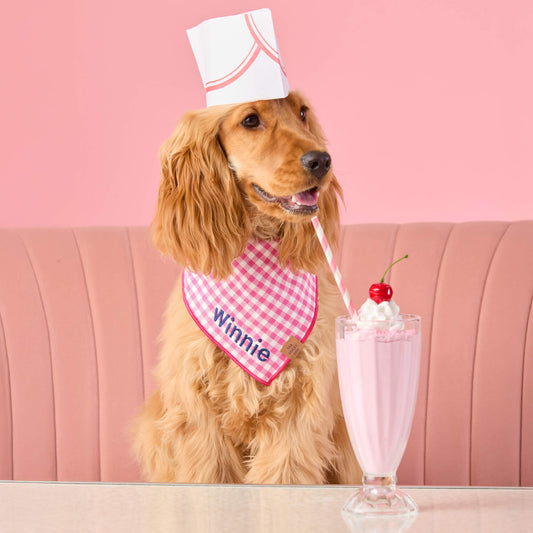 #Modeled by Honey (13lbs) in Medium